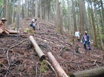 20190609gakkinomori植樹2.jpg
