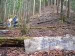20190609gakkinomori現地.jpg