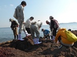 20191030竹島磯潮だまり.jpg